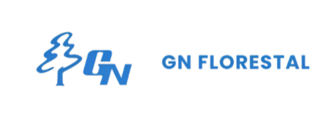 Logo GN Florestal